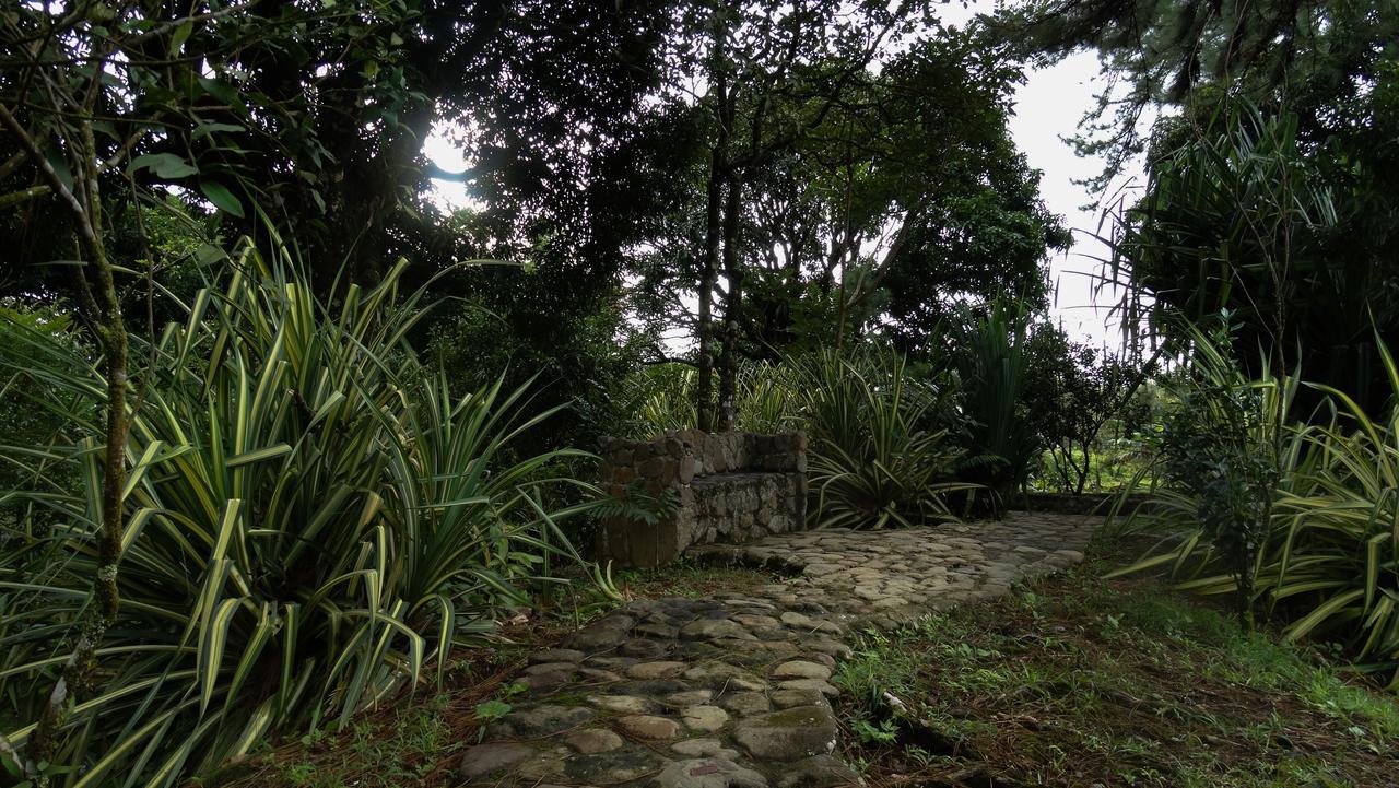 Malekus Mountain Lodge Aguas Claras  Extérieur photo