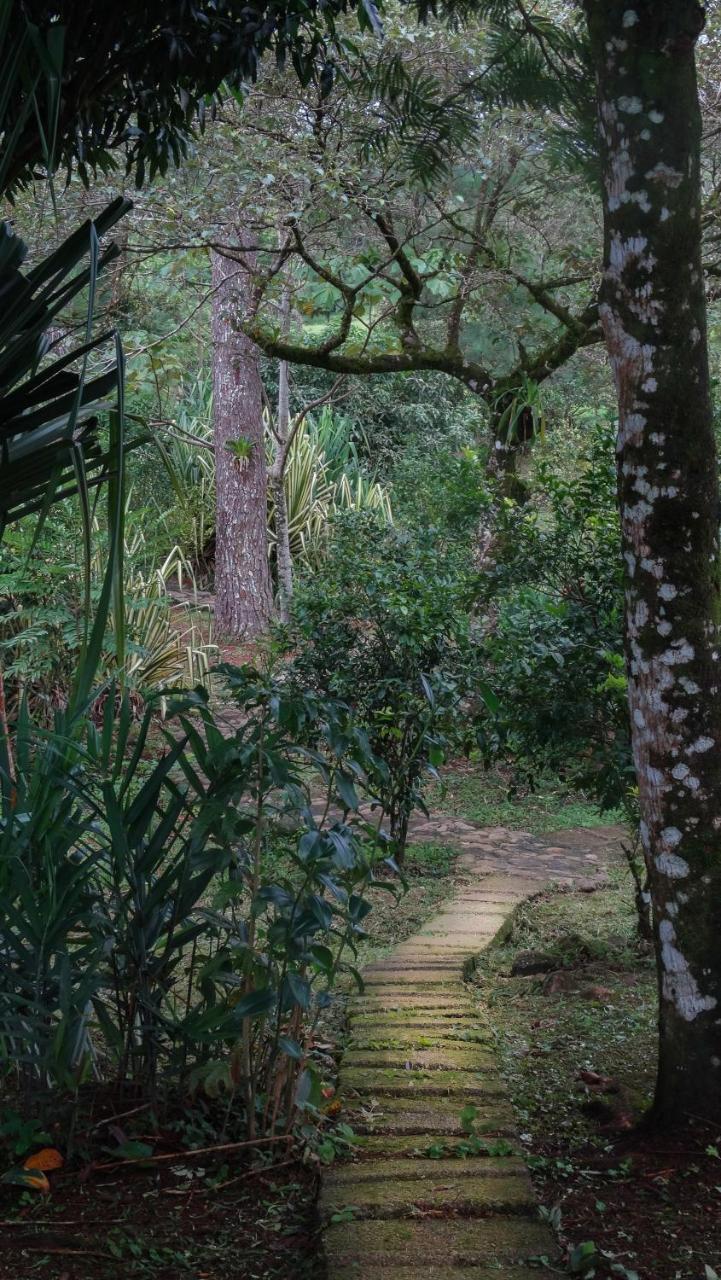 Malekus Mountain Lodge Aguas Claras  Extérieur photo